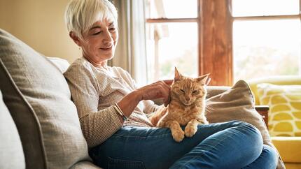 Kat op schoot bij zijn baasje