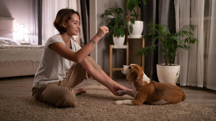 Vrouw die hond traint 