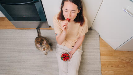 Mogen katten aardbeien eten?