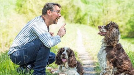 Chien en séance de dressage avec son propriétaire 