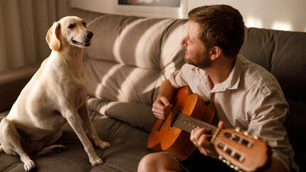 Chien écoutant son maître jouer de la guitare