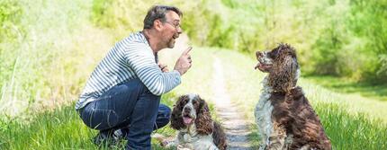 chiens en séance de dressage avec leur propriétaire