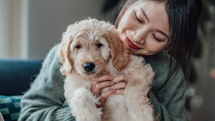 chiot blanc dans les bras de son propriétaire 