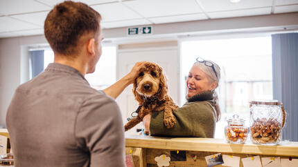Chien brun tenu en laisse et caressé
