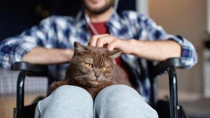 chat noir sur les genoux d’un homme