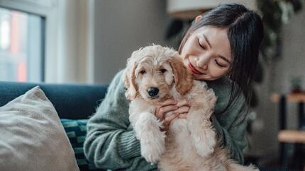 Liste des noms populaires pour votre chienne