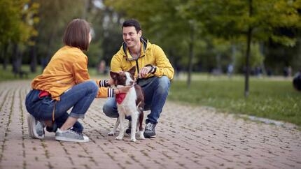 un homme et une femme caressent un chien dans un parc 