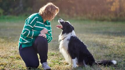 border collie à l’extérieur avec son propriétaire 