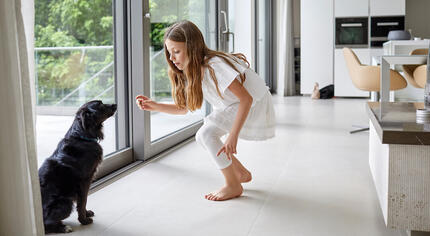 De Meisje voert de hond