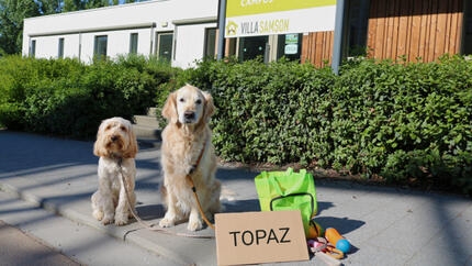 2 honden voor villa Samson