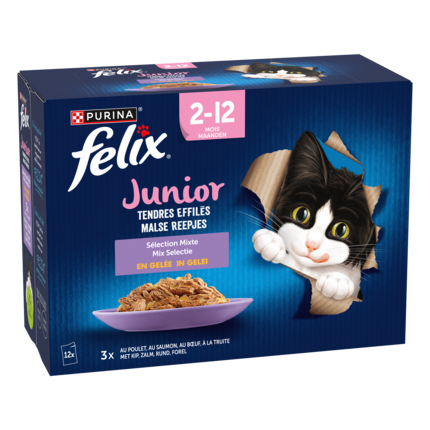 FELIX® TENDRES EFFILÉS Junior Sélection aux Viandes et aux Poissons en Gelée