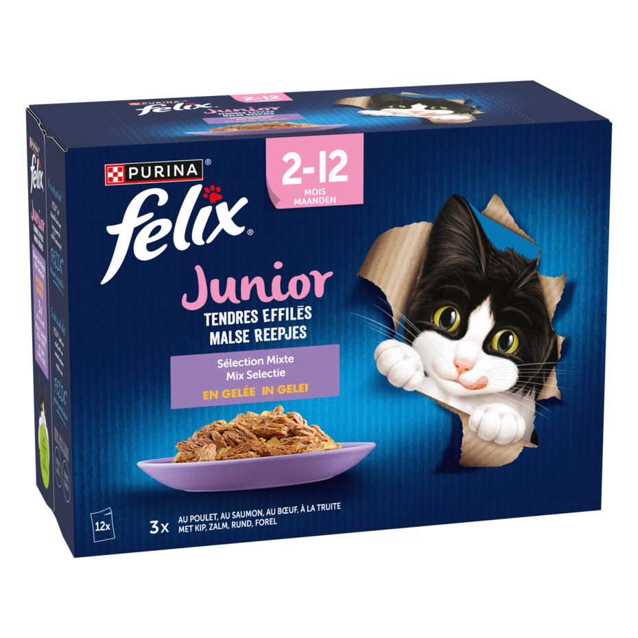 FELIX® TENDRES EFFILÉS Junior Sélection aux Viandes et aux Poissons en Gelée
