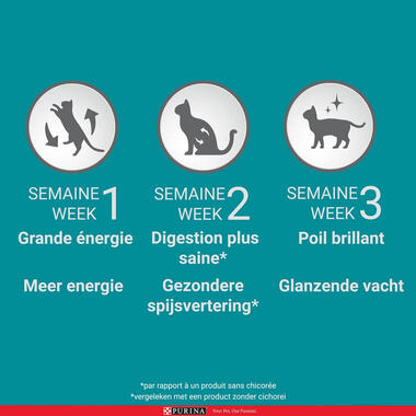 Purina ONE Chat Challenge 3 semaines  