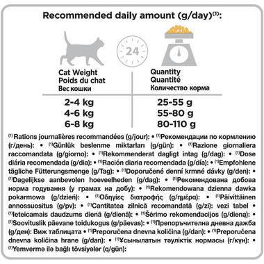 Voedingsadvies: Aanbevolen dagelijkse porties voor katten