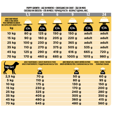 Rations journalières recommandées PRO PLAN® Canine JM Joint Mobility