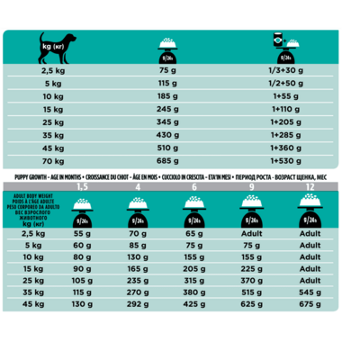Aanbevolen dagelijkse porties voor PRO PLAN® VETERINARY DIETS Canine EN Gastrointestinal