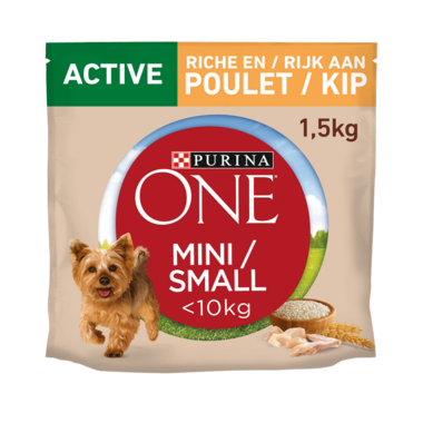 Alimentation chien PURINA ONE® Mini/Small <10kg Active