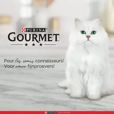 Purina Gourmet Chat pour les vrais connaisseurs
