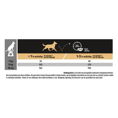 Voedingsadvies: Aanbevolen dagelijkse porties voor honden