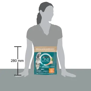 Emballage Purina ONE® Adult Croquettes pour chat adulte au poulet et céréales complètes
