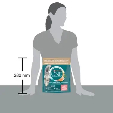 Purina ONE® Adult Nourriture pour chat adulte au saumon et céréales complètes