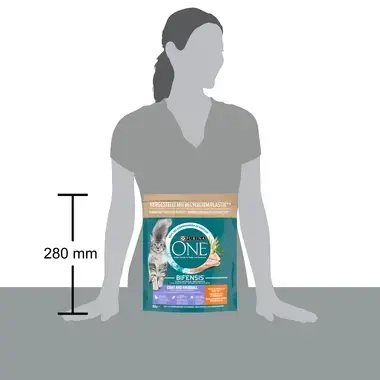 Purina ONE® Coat & Hairball Riche en Poulet