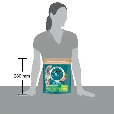 Purina ONE® Bifensis® Indoor kattenvoer voor binnenkatten - kalkoen