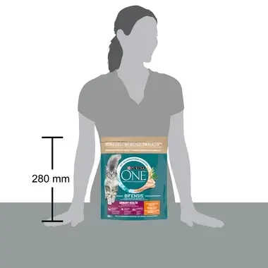 Purina ONE® Urinary Care voeding voor katten met nierproblemen - kip