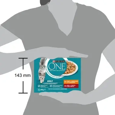Verpakking Purina ONE® Adult nat kattenvoer met kip voor volwassen kat