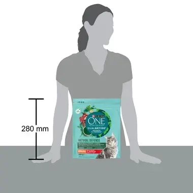 Purina ONE® Dual Nature avec de la Spiruline pour chats stérilisés - Boeuf