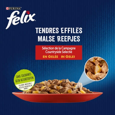 Felix Tendres Effilés Campagne en Gelée