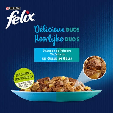 Felix Heerlijke Duo's Vis Selectie in Gelei