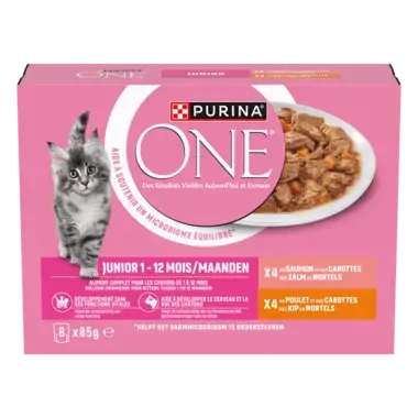 PURINA ONE® Junior Sachets fraîcheur pour chaton - Riche en Saumon et Poulet