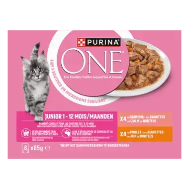 PURINA ONE® Junior Sachets fraîcheur pour chaton - Riche en Saumon et Poulet