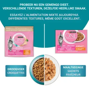 PURINA ONE® Junior Sachets fraîcheur pour chaton - Riche en Saumon et Poulet