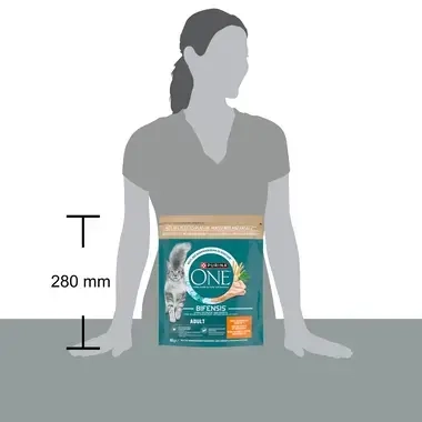 Emballage Purina ONE® Adult Croquettes pour chat adulte au poulet et céréales complètes