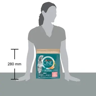 Verpakking Purina ONE® Kat Adult droogvoer kat rijk aan zalm en granen 