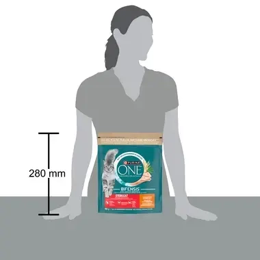 Emballage Purina ONE® Sterilcat Croquettes pour chat stérilisé au poulet et blé