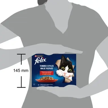 FELIX® TENDRES EFFILÉS Sélection de Campagne en Gelée