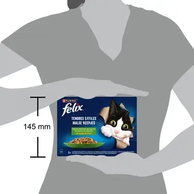 FELIX® TENDRES EFFILÉS Sélection de Campagne en Gelée avec des Légumes