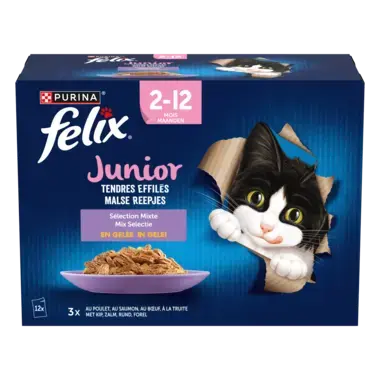 FELIX® TENDRES EFFILÉS Junior Sélection aux Viandes et aux Poissons en Gelée