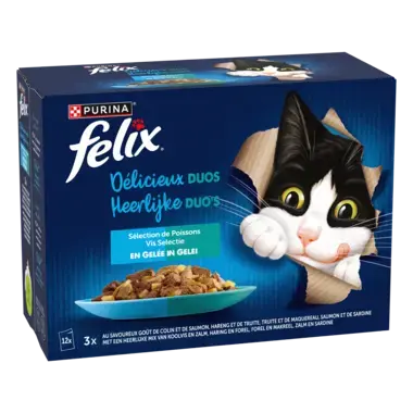FELIX DELICIEUX DUOS Sélection de Poissons en Gelée