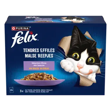 FELIX® TENDRES EFFILÉS Sélection Mixte en Gelée