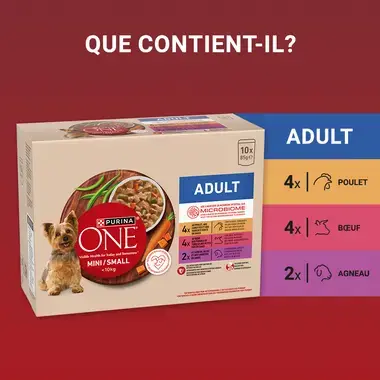 PURINA ONE® Mini/Small <10 kg Adult - Nourriture humide riche en poulet - bœuf - dinde - agneau avec du riz