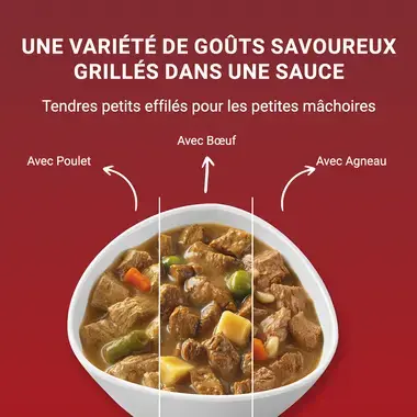 PURINA ONE® Mini/Small <10 kg Adult - Nourriture humide riche en poulet - bœuf - dinde - agneau avec du riz