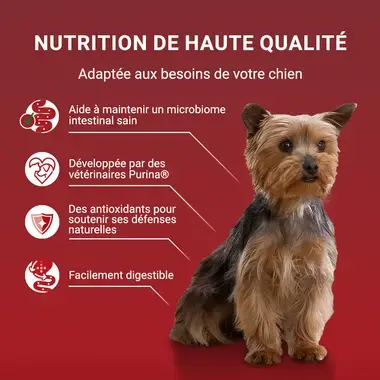 PURINA ONE® Mini/Small <10 kg Adult - Nourriture humide riche en poulet - bœuf - dinde - agneau avec du riz