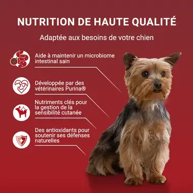 PURINA ONE® Mini/Small <10 kg Sensitive - Nourriture humide au saumon, riz et carottes