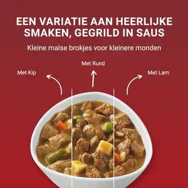 PURINA ONE® Mini/Small <10kg Adult - Natvoer rijk aan kip - rund - kalkoen - lam met rijst