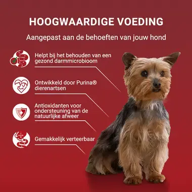 PURINA ONE® Mini/Small <10kg Adult - Natvoer rijk aan kip - rund - kalkoen - lam met rijst