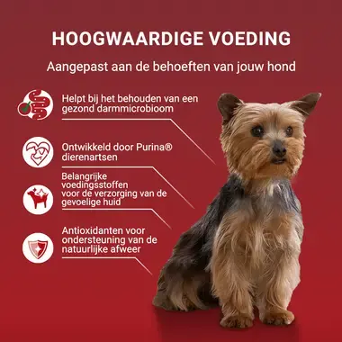 PURINA ONE® Mini/Small <10kg Sensitive - Natvoer met zalm, rijst en wortels